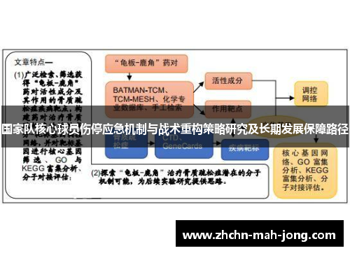 国家队核心球员伤停应急机制与战术重构策略研究及长期发展保障路径